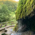 Backesgarten Fuer 22 Personen