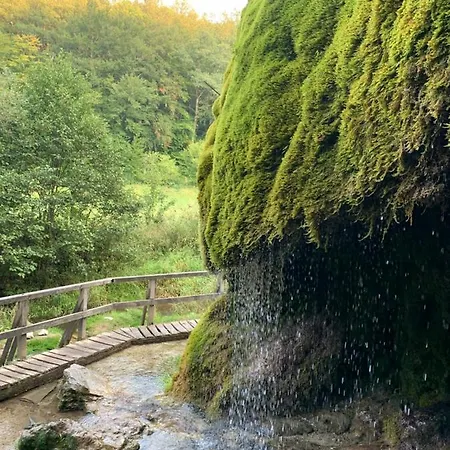 Backesgarten Fuer 22 Personen