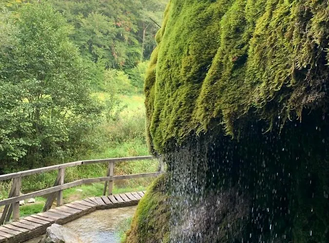Backesgarten Fuer 22 Personen